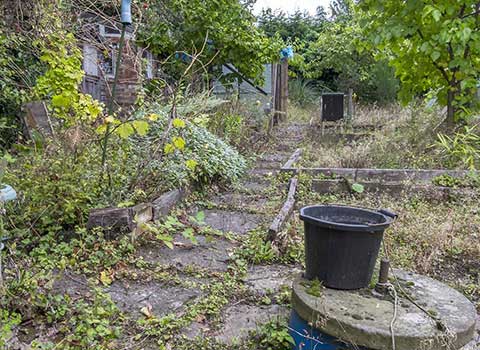 Gardens Cleared Across Gravesend