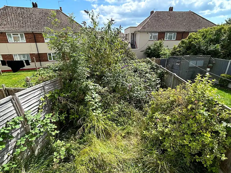 Garden Clearance Gravesend